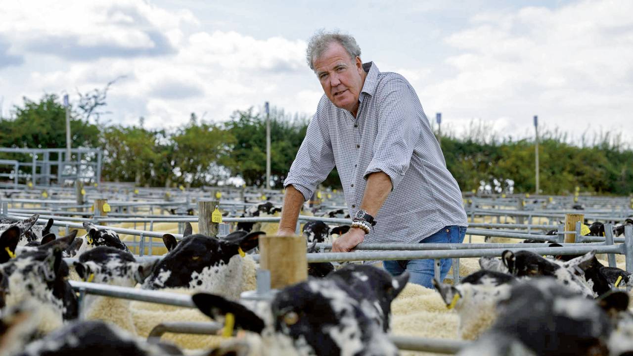 HAJA PASTO - Jeremy Clarkson com as ovelhas devoradoras de dinheiro: a alegria e os micos de um fazendeiro fajuto -