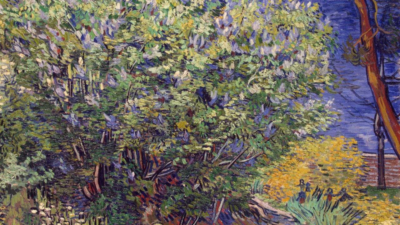 van gogh