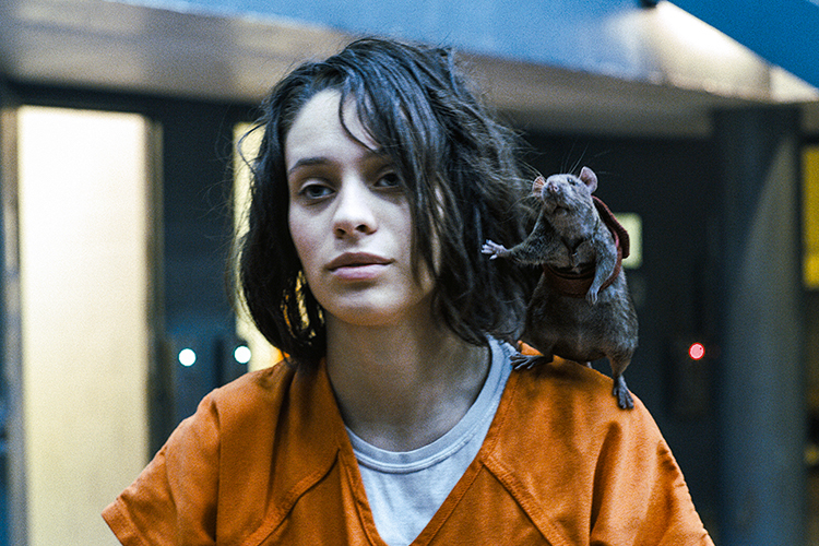 THE SUICIDE SQUAD REVELAÇÃO - A portuguesa Daniela Melchior como Caça-Ratos II: no caos, notas de melancolia e saudade -