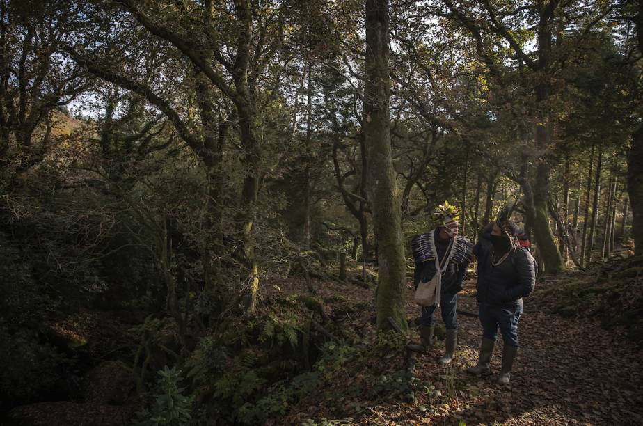 Indígenas brasileiros na comunidade florestal de Kilfinan, na Escócia, localizada na região de Argyll & Buke