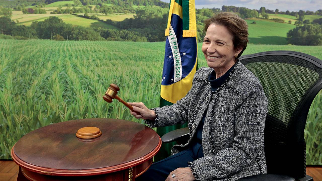 PLANO B - Tereza: a ministra da Agricultura é cotada como uma das alternativas para compor a chapa com Bolsonaro -