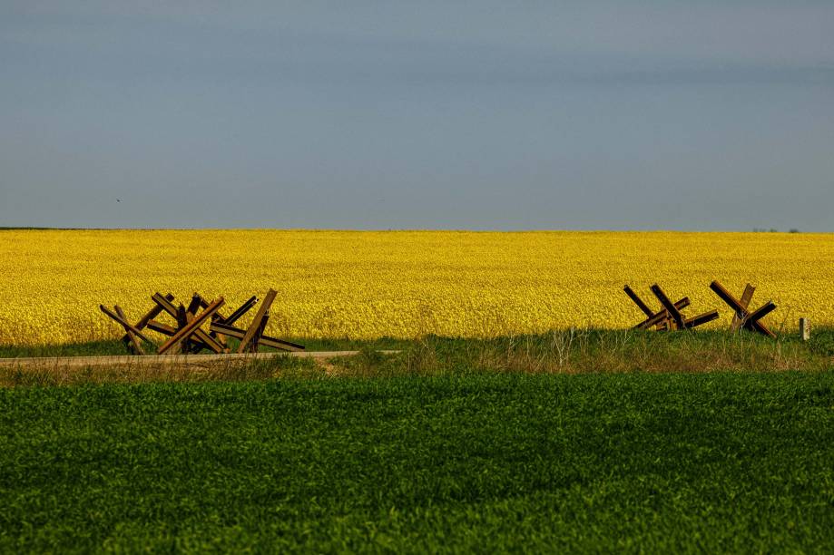 Campo de Colza em flôr e obstáculos antitanque colocados em uma estrada próximo `a vila de Hryhorivka, região de Zaporizhzhia, em meio à invasão russa da Ucrânia.