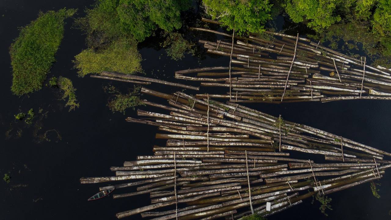 amazonia
