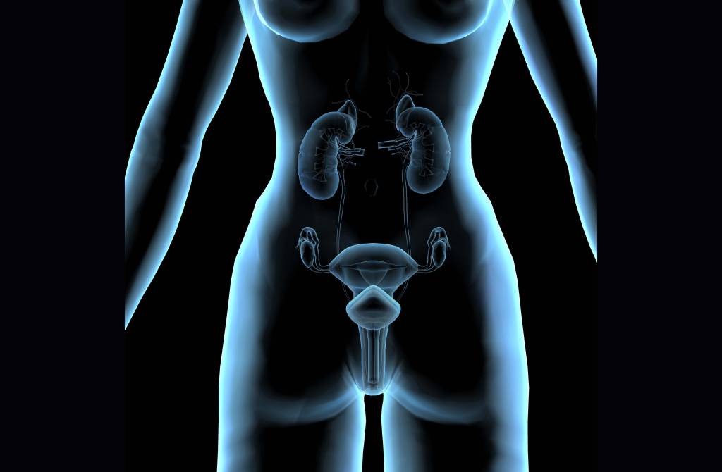 Da mama ao ovário: conquistas contra o câncer que merecem aplausos