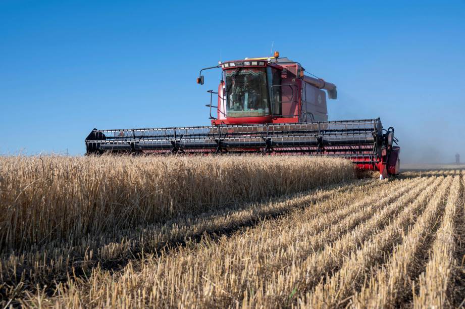 Agricultores colhem cevada em um campo na região ucraniana de Kharkiv, em 18/07/ 2022.