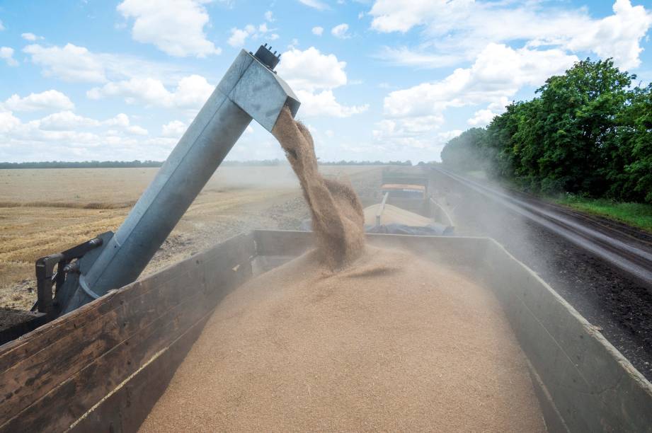 Agricultores colhem um campo de trigo na região ucraniana de Kharkiv em 19/07/2022, em meio à invasão russa da Ucrânia.