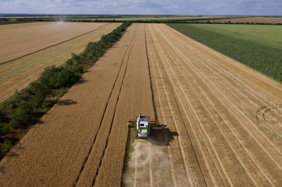 Agricultores colhem  trigo próximo de Melitopol, região de Zaporizhzhia, em meio à ação militar russa em andamento na Ucrânia. em 14/07/2022.