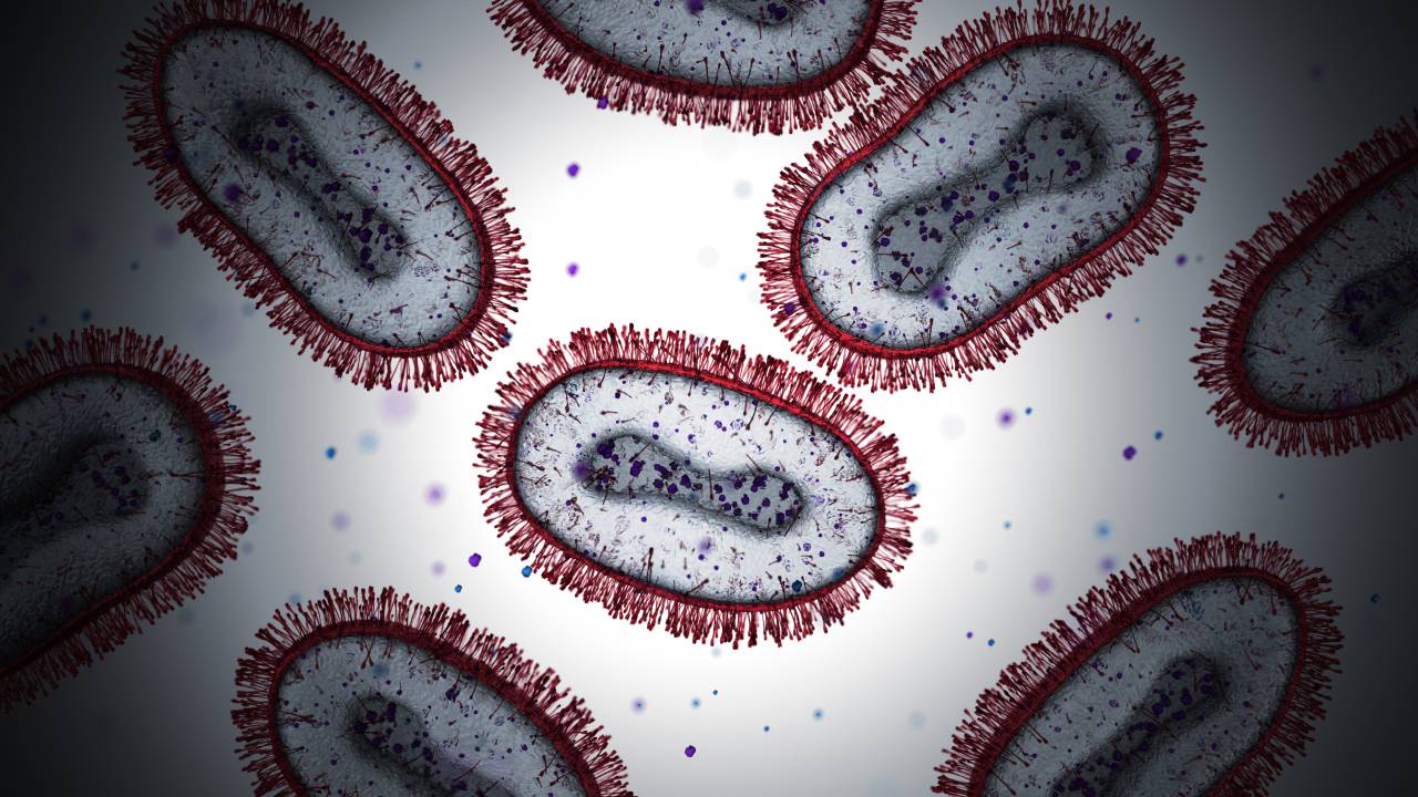 Monkeypox Virus. 3D Render