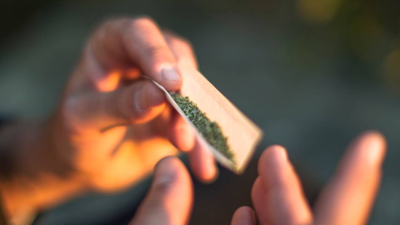 Instituto Brasileiro de Ciências Criminais defende a descriminalização das drogas -