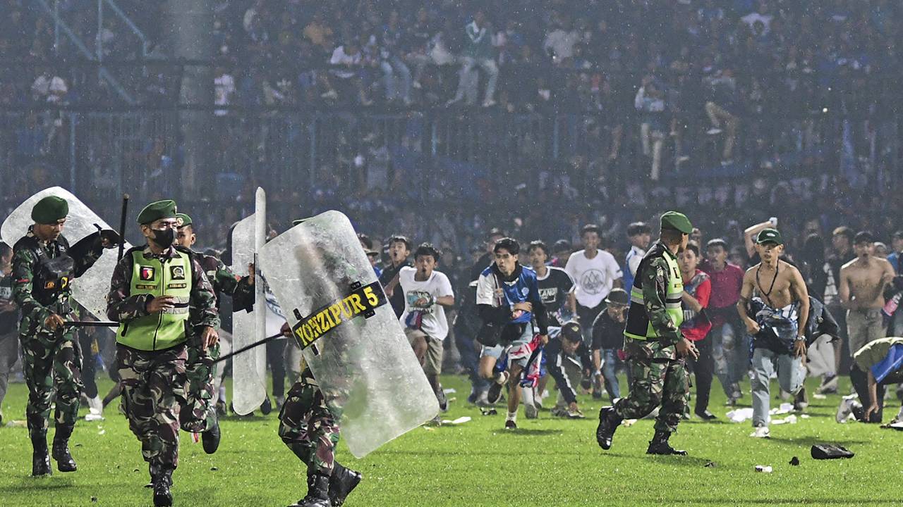IMAGEM DA SEMANA