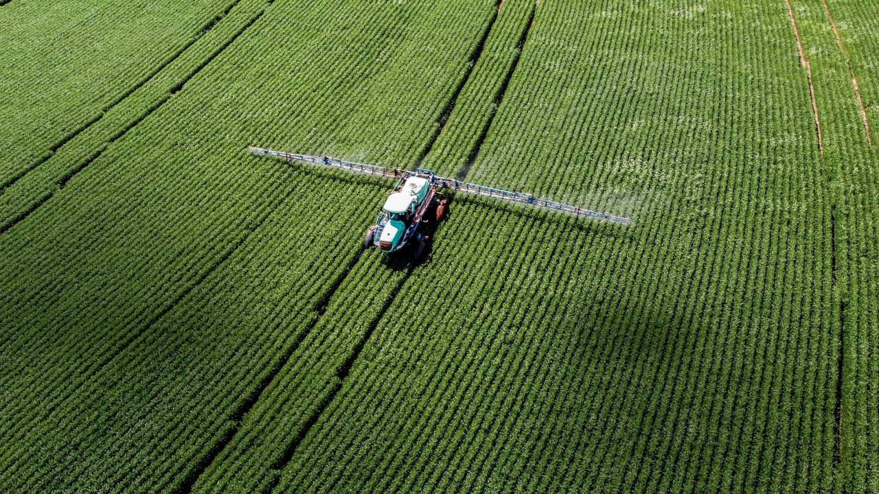 EM PLENA ATIVIDADE - Plantação de soja, no Paraná: produto-chave em meio à colheita recorde de grãos -