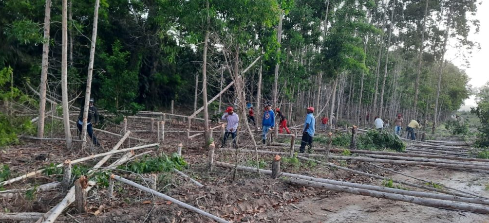 MST invade três fazendas produtivas em protesto contra suposto uso excessivo de agrotóxicos