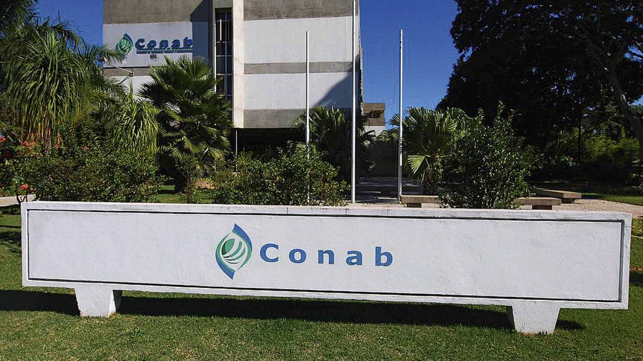 CRITÉRIOS - Conab: regras estabelecem que o chefe precisa de pós-graduação, experiência e quarentena política