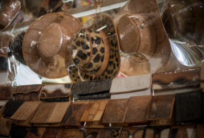 Produtos de onça-pintada e outras espécies de animais silvestres à venda no Mercado El Campesino, Bolívia -