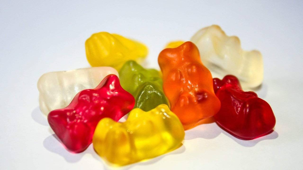 balas haribo