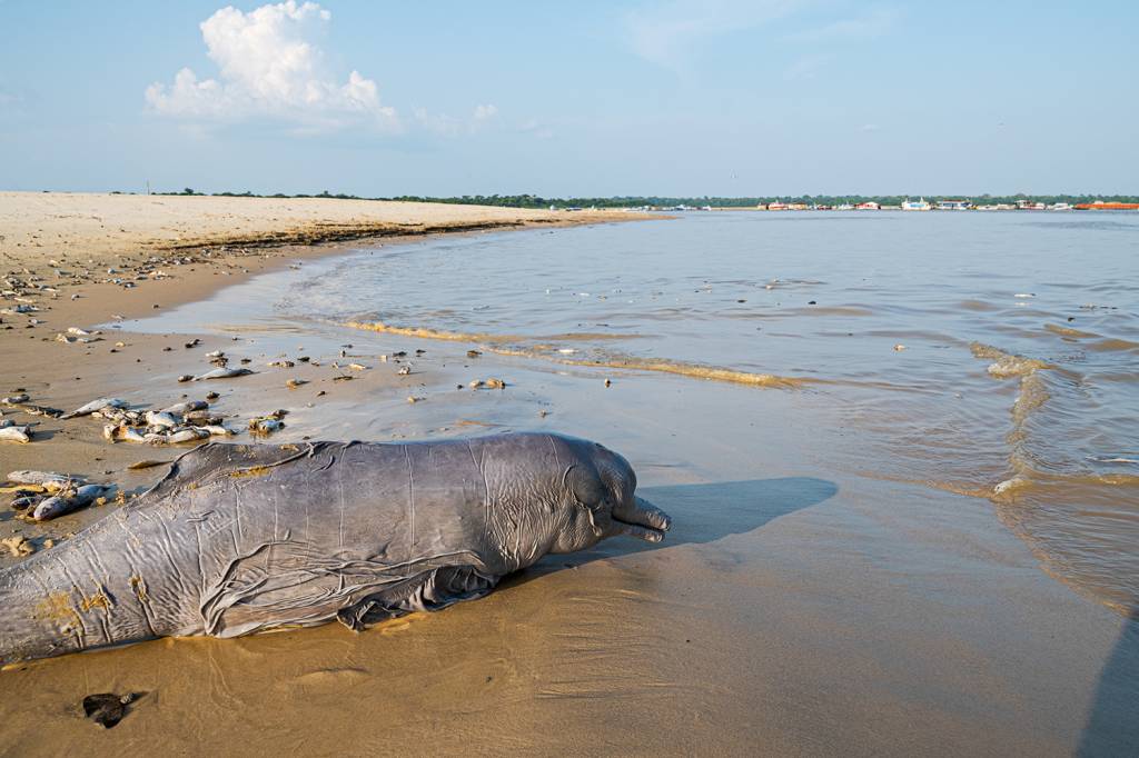 Empresas aumentam em até 195% o custo do frete na seca da Amazônia