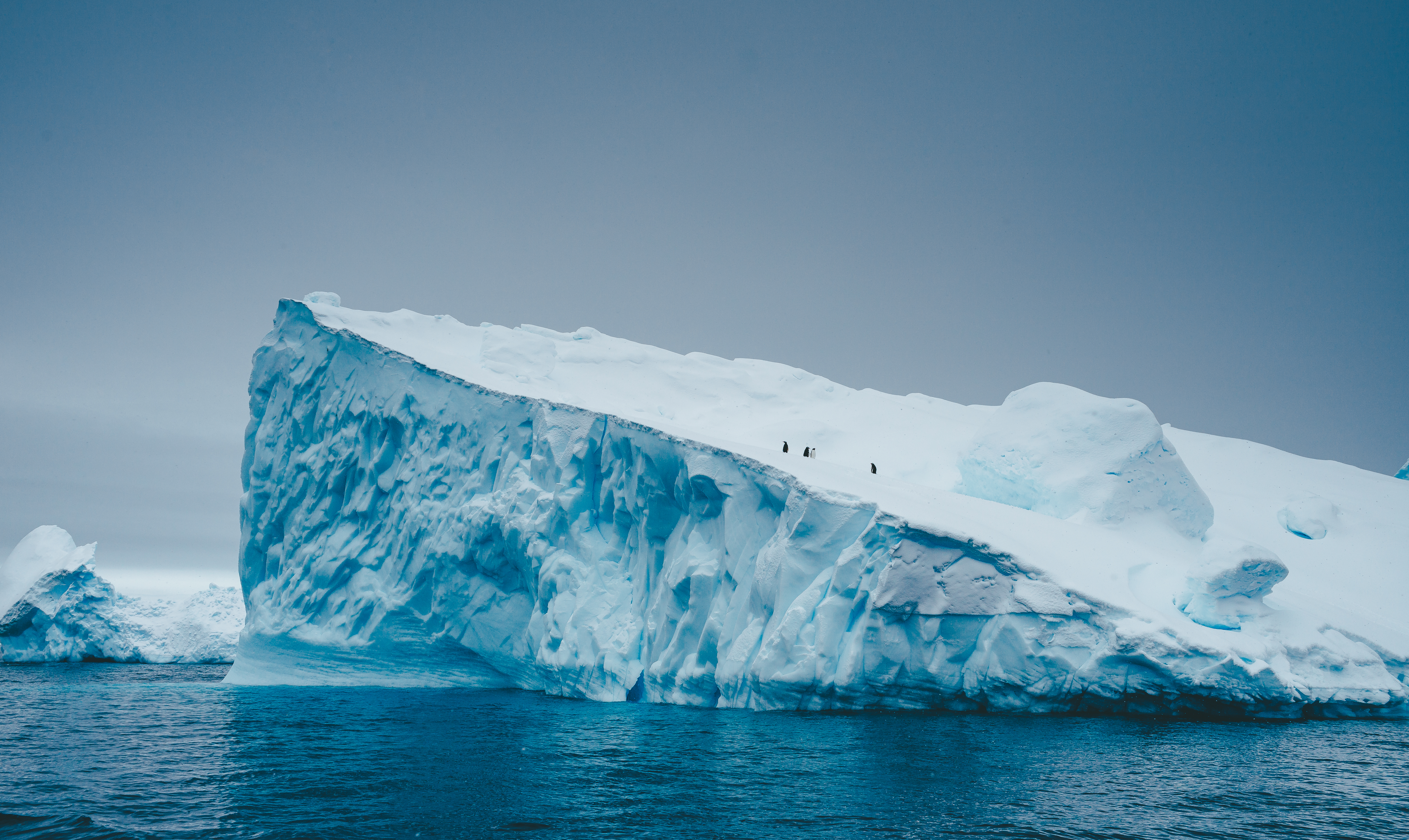 Brasil fará missão científica inédita à Antártica com pegada zero de carbono