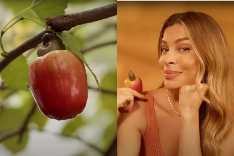 Grazi Massafera é alvo de críticas por publicidade errônea com caju  