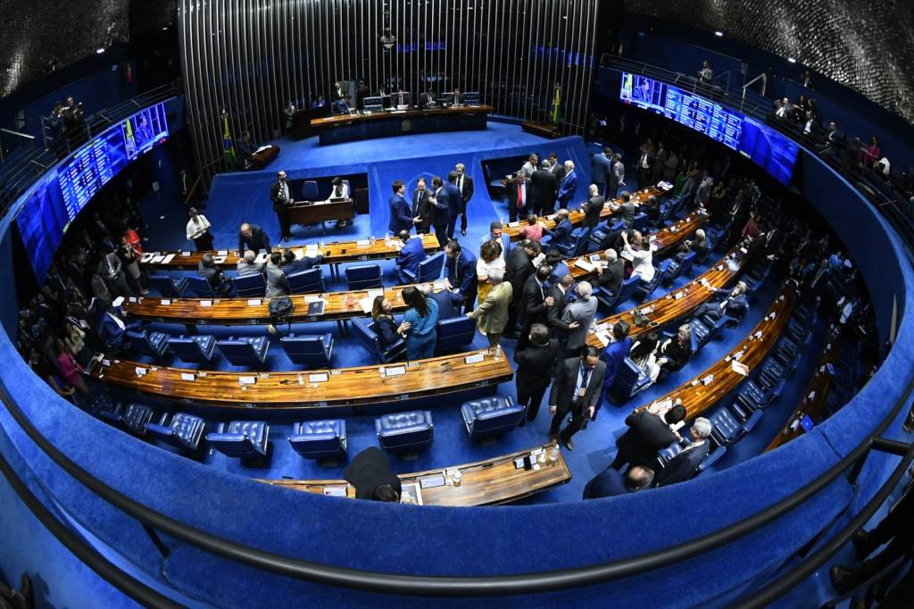 Senado vai criar Direito Digital para pessoas e empresas na internet