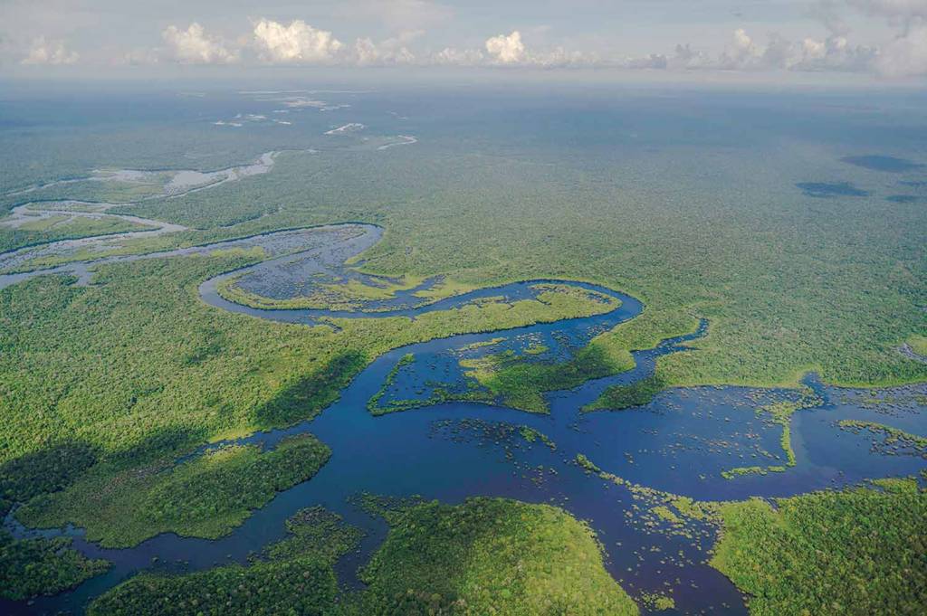 000_32DE68H.jpg AMAZÔNIA - Em risco: o crime organizado ameaça