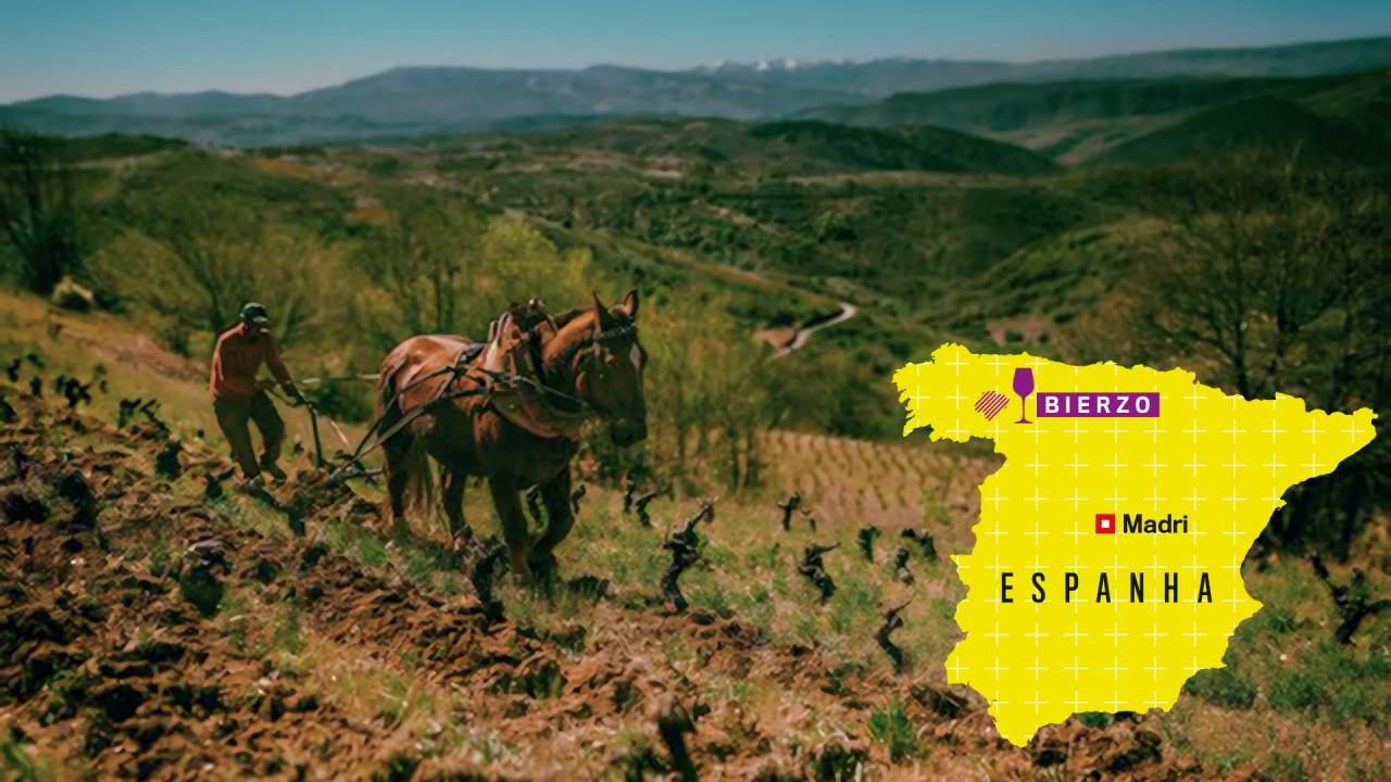 VARIEDADE - O terreno irregular: cada parcela tem um perfil de solo distinto, refletido nas garrafas