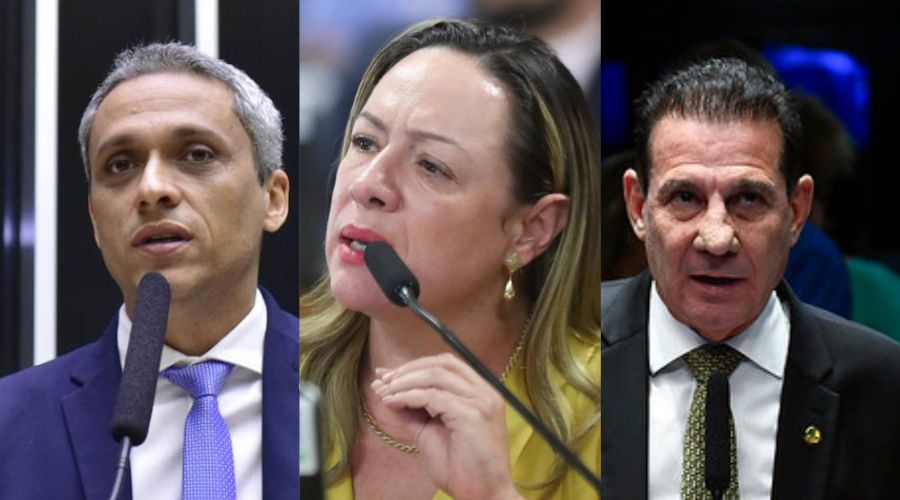 Delagada Adrina Accorsi (PT) lidera as pesquisas e rivaliza o pódio com Gustavo Gayer (PL), à esquerda, e Vanderlan Cardoso (PSD), à direita