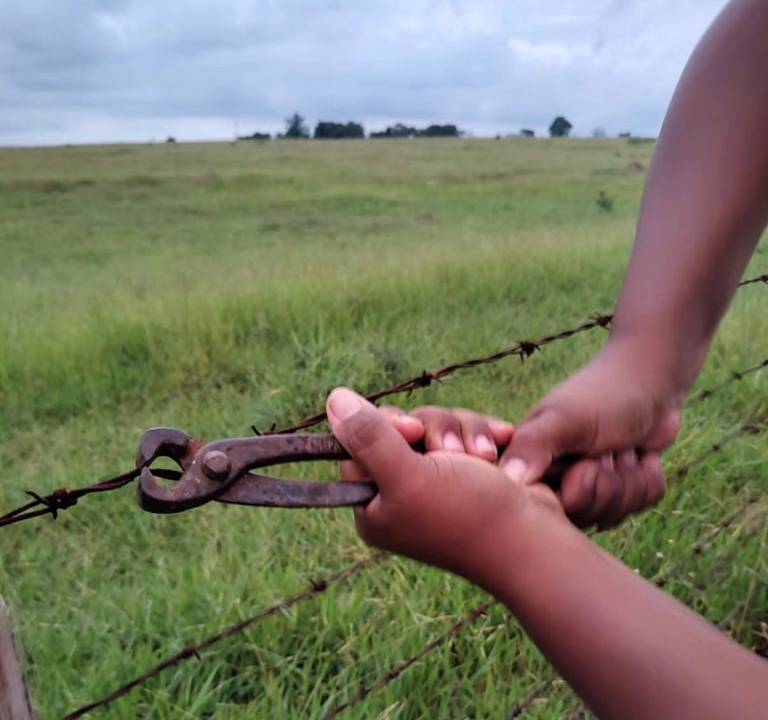 'Ocupar para o Brasil alimentar' é o lema deste ano da Jornada de Nacional de Lutas em Defesa da Reforma Agrária 2024