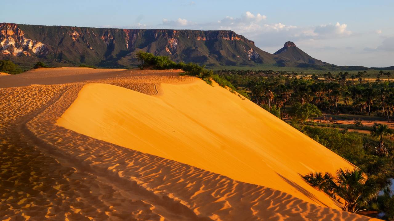 FRAGILIDADE - Dunas douradas: o excesso de veículos pode ser ruim