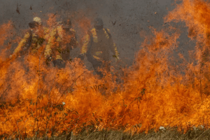 Brigadistas combatem incêndios no Pantanal