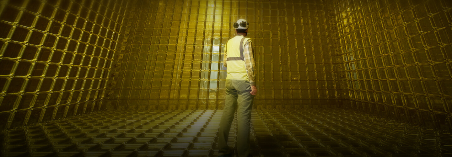 Brasil terá grande participação em megaprojeto para estudar neutrinos
