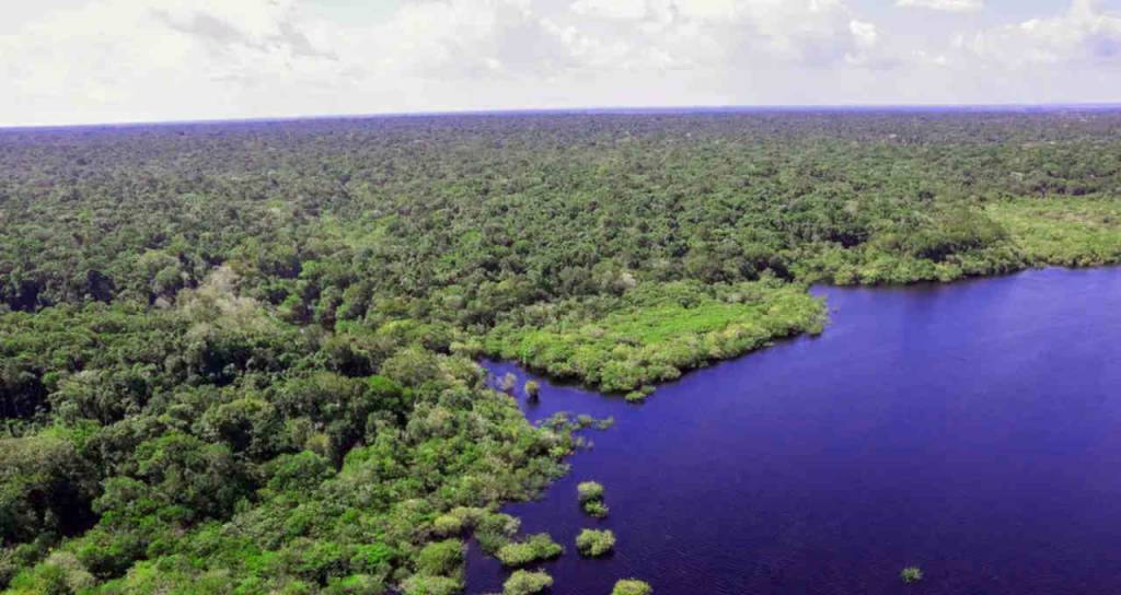 Fundo Amazônia recebe aporte de 210 milhões de reais
