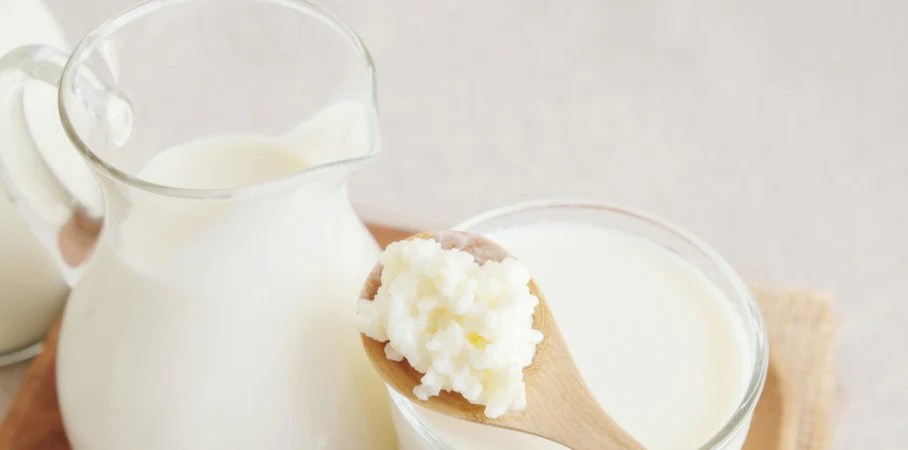 Queijo de 3500 anos: como múmias revelaram as origens do kefir