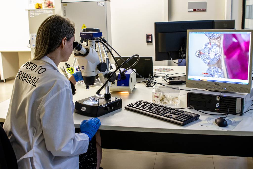 Polícia Técnico-Científica da PF sobressai no combate a crimes ambientais