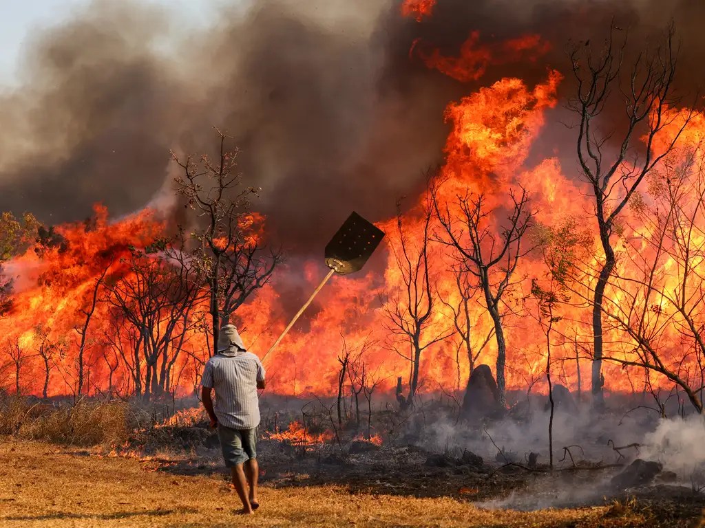 Lewandowski manda Força Nacional combater incêndios florestais