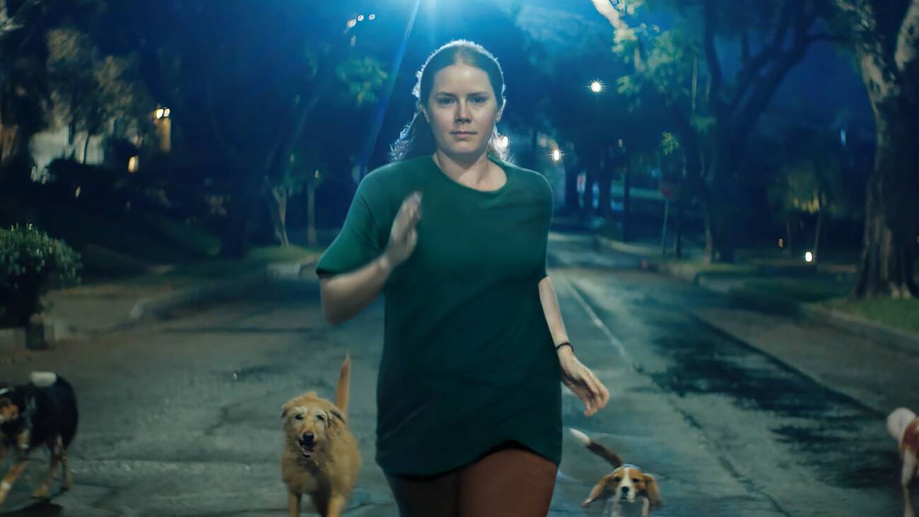 De Amy Adams a Will Ferrell: as estreias do streaming em janeiro