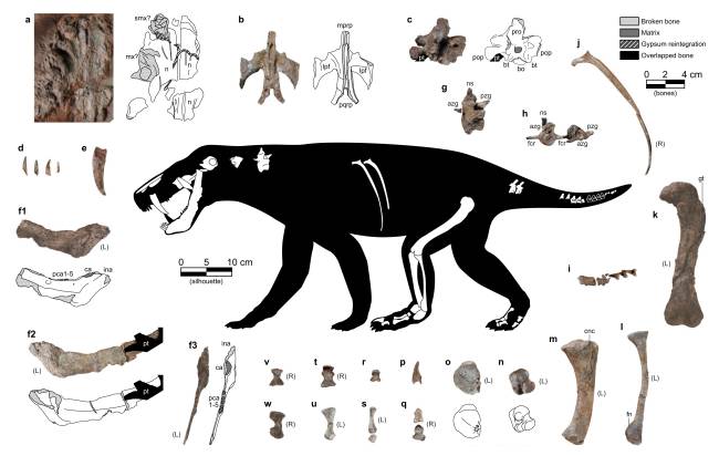 Fig. 3