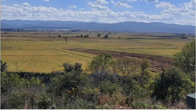 Captura de tela 2025-01-03 120504