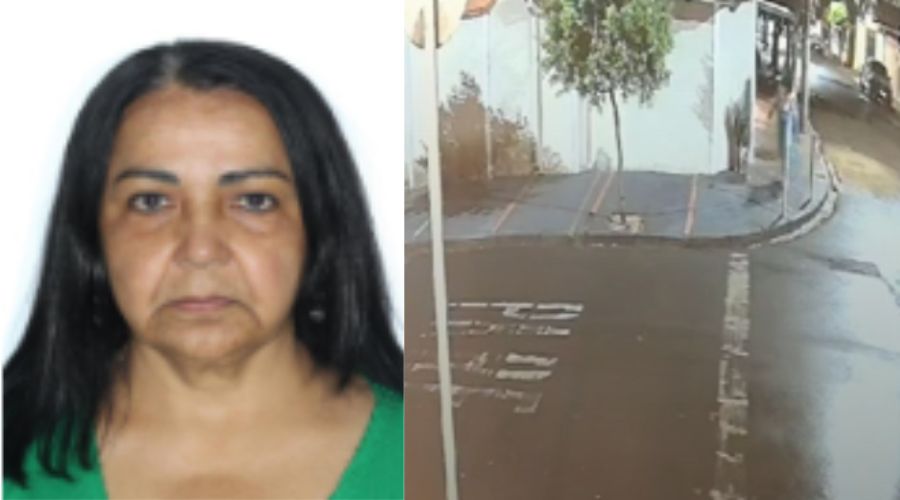 Mulher é presa por envenenar 28 gatos em cidade do interior de São Paulo