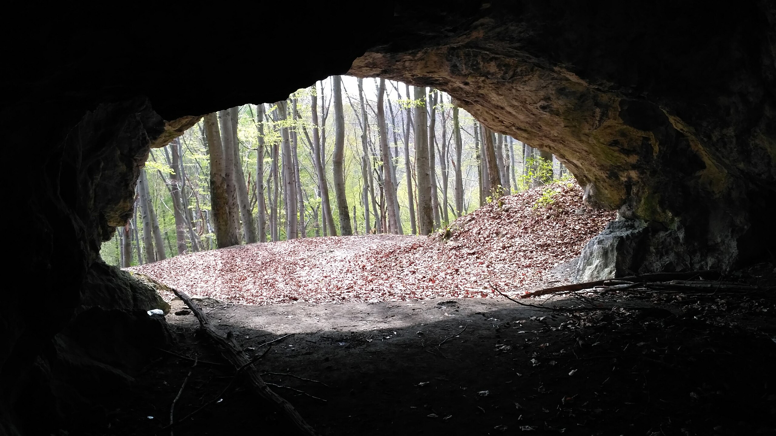 Caverna na Polônia revela sinais de canibalismo há 18 mil anos