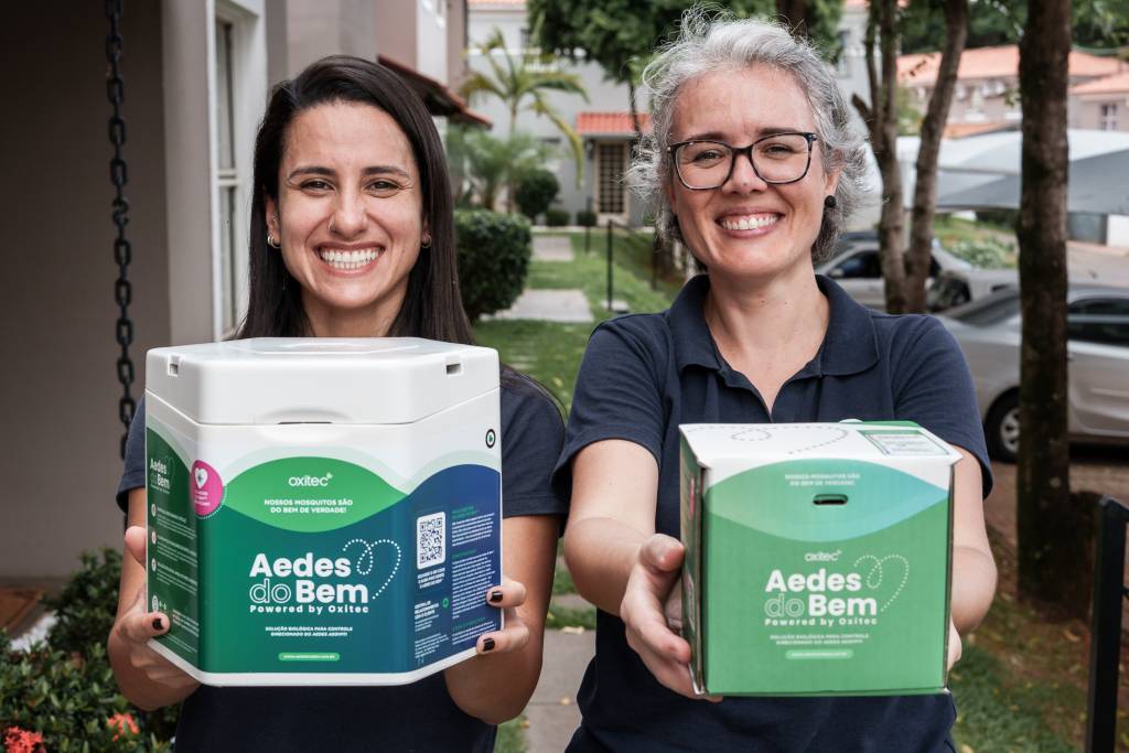 Empresa reforça produção do ‘Aedes do Bem’ após emergência de dengue em SP