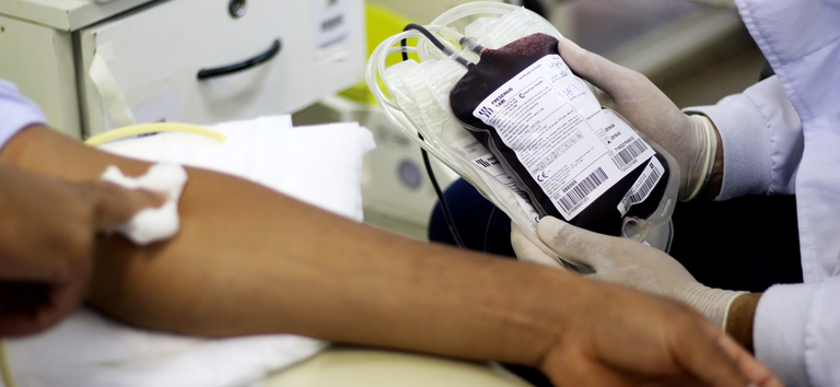 Projeto substitui pagamento de multas de trânsito por doação de sangue