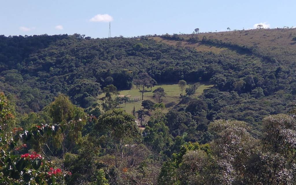 Ferramenta identifica áreas ecologicamente equivalentes para orientar restauração