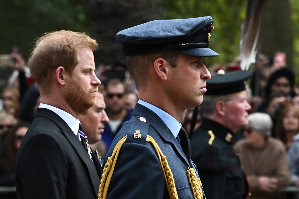 Príncipes William e Harry perdem herança milionária