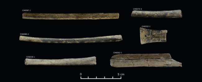 Os artefatos de osso dos quais foram recuperados resíduos de substâncias psicoativas.
