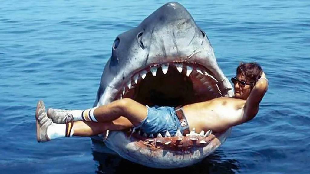 O efeito colateral do sucesso do filme ‘Tubarão’ para uma espécie inteira