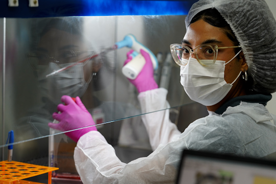 Startup desenvolve biocurativo 3D para feridas crônicas e queimaduras graves