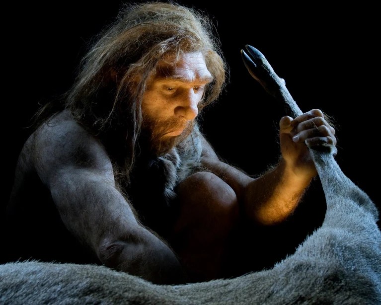 Neandertais extraíam gordura de ossos 100 mil anos antes de humanos atuais