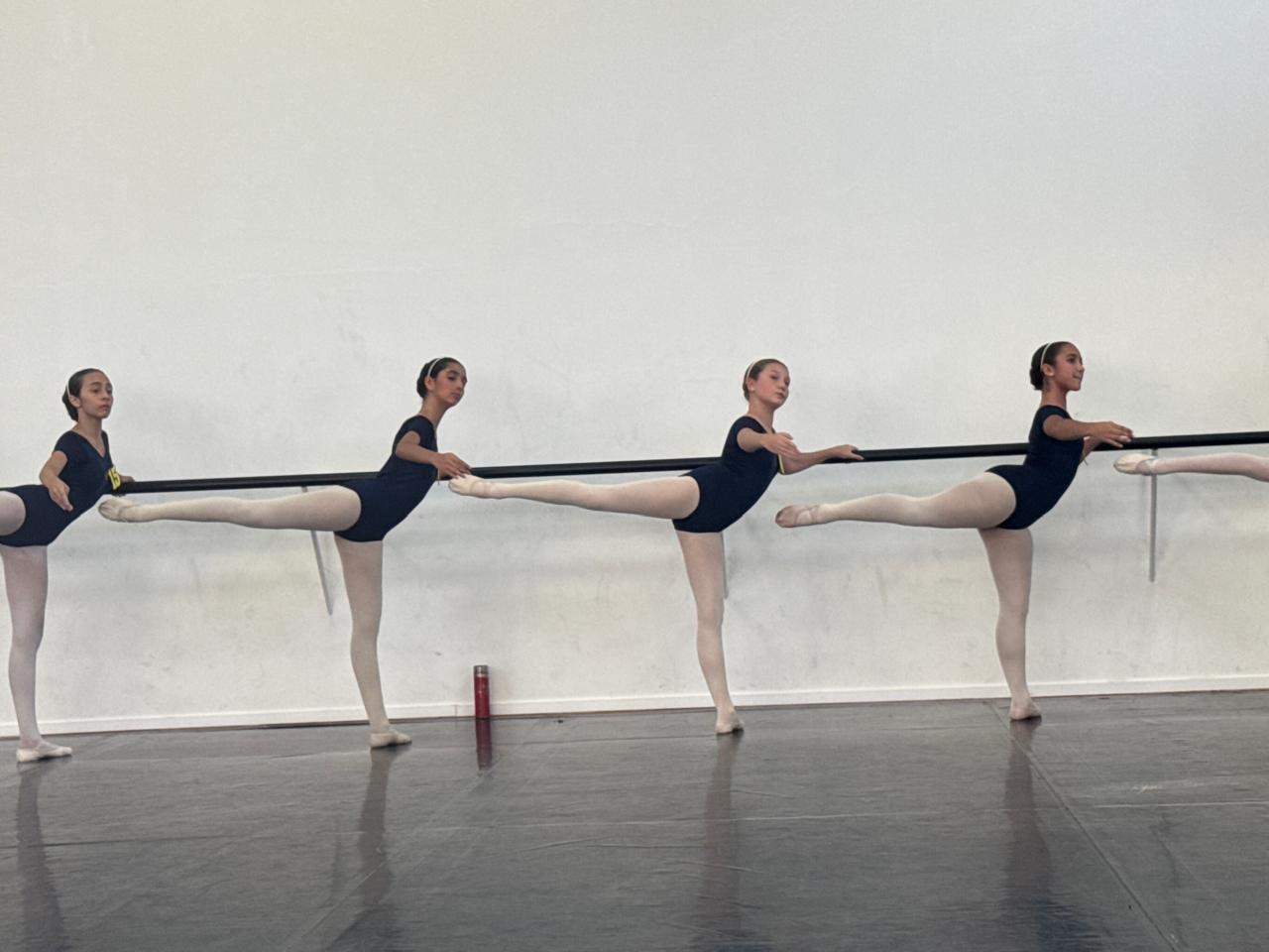 Brasília quer retomar corpo de baile de balé e formar talentos