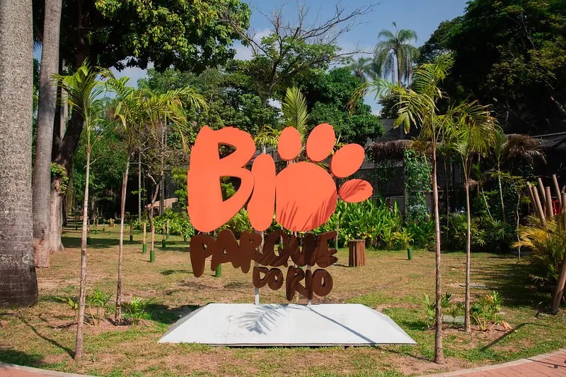 Zoológico do Rio confirma morte de aves por gripe aviária