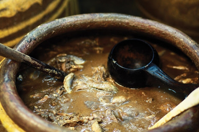 Análise de DNA revela ingrediente culinário favorito da Roma Antiga